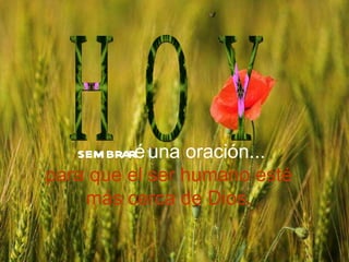 sembraré una oración... para que el ser humano esté más cerca de Dios. H O Y
