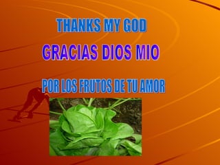 THANKS MY GOD GRACIAS DIOS MIO POR LOS FRUTOS DE TU AMOR
