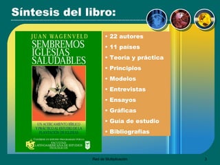 S íntesis d el libro: 22 autores 11 países Teoría y práctica Principios Modelos Entrevistas Ensayos Gráficas Guía de estudio Bibliografías 