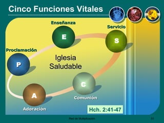 Cinco Funciones Vitales Adoración Iglesia Saludable A Hch. 2:41-47 Proclamación P Enseñanza E Servicio S Comunión C 