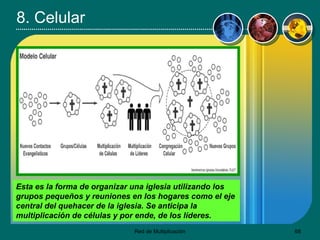 8. Celular Esta es la forma de organizar una iglesia utilizando los grupos pequeños y reuniones en los hogares como el eje central del quehacer de la iglesia. Se anticipa la multiplicación de células y por ende, de los líderes.   