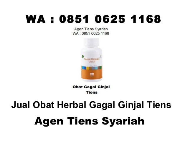 5 Obat Ginjal Alami Buat Membersihkan Sekaligus Menjaganya 5 Obat Ginjal Alami Buat Membersihkan Sekaligus Menjaganya