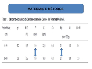 MATERIAIS E MÉTODOS
 