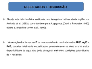  Sendo este fato também verificado nas forrageiras nativas desta região por
Andrade et al. (1992), como também para A. gayanus (Drudi e Favoretto, 1980)
e para B. brizantha (Alvim et al., 1990).
 A elevação dos teores de P na quarta avaliação nos tratamentos BbE, AgE e
PnE, parcelas totalmente escarificadas, provavelmente se deve a uma maior
disponibilidade de água que pode assegurar melhores condições para difusão
de P nos solos.
RESULTADOS E DISCUSSÃO
 