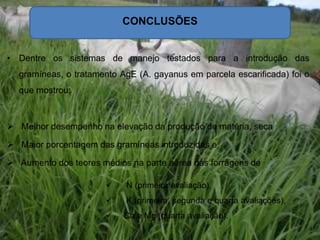 CONCLUSÕES
• Dentre os sistemas de manejo testados para a introdução das
gramíneas, o tratamento AgE (A. gayanus em parcela escarificada) foi o
que mostrou:
 Melhor desempenho na elevação da produção de matéria, seca
 Maior porcentagem das gramíneas introduzidas e
 Aumento dos teores médios na parte aérea das forragens de
 N (primeira avaliação),
 K (primeira, segunda e quarta avaliações),
 Ca e Mg (quarta avaliação).
 