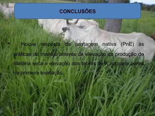 • Houve resposta da pastagem nativa (PnE) às
práticas de manejo através da elevação da produção de
matéria seca e elevação dos teores de K na parte aérea
na primeira avaliação.
CONCLUSÕES
 