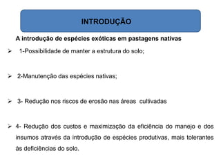 A introdução de espécies exóticas em pastagens nativas
 1-Possibilidade de manter a estrutura do solo;
 2-Manutenção das espécies nativas;
 3- Redução nos riscos de erosão nas áreas cultivadas
 4- Redução dos custos e maximização da eficiência do manejo e dos
insumos através da introdução de espécies produtivas, mais tolerantes
às deficiências do solo.
INTRODUÇÃO
 