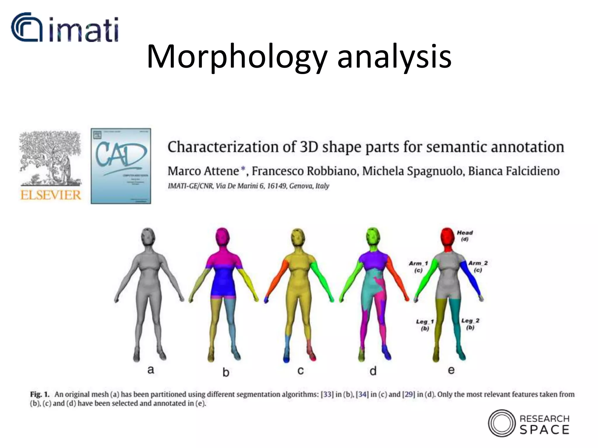 Morphology analysis
 
