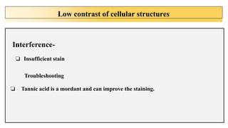 Low contrast of cellular structures
Interference-
❏ Insufficient stain
Troubleshooting
❏ Tannic acid is a mordant and can improve the staining.
 