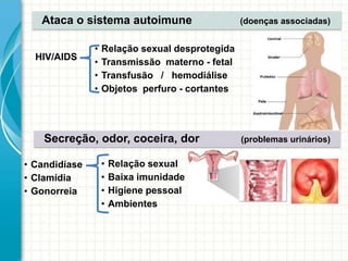 • Candidíase
• Clamídia
• Gonorreia
Ataca o sistema autoimune (doenças associadas)
Secreção, odor, coceira, dor (problemas urinários)
• Relação sexual desprotegida
• Transmissão materno - fetal
• Transfusão / hemodiálise
• Objetos perfuro - cortantes
• Relação sexual
• Baixa imunidade
• Higiene pessoal
• Ambientes
HIV/AIDS
 