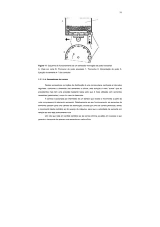 16
Figura 11- Esquema de funcionamento de um semeador monogrão de prato horizontal
A- Vista em corte B- Pormenor do prato alveolado 1- Tremonha 2- Alimentação do prato 3-
Ejecção da semente 4- Tubo condutor
3.2.1.1.4- Semeadores de correia
Nestes semeadores os órgãos de distribuição é uma correia plana, perfurada a intervalos
regulares, conforme a dimensão das sementes a utilizar; esta solução é mais "suave" que as
precedentes mas tem uma precisão bastante baixa pelo que é mais utilizada com sementes
revestidas (peletizadas), como é o caso da beterraba.
A correia é accionada por intermédio de um tambor que recebe o movimento a partir da
roda compressora do elemento semeador. Relativamente ao seu funcionamento, as sementes da
tremonha passam para uma câmara de distribuição, situada por cima da correia perfurada, sendo
o movimento desta contrário ao do avanço da máquina, para que a velocidade da semente em
relação ao solo seja praticamente nula.
Um rolo que roda em sentido contrário ao da correia elimina os grãos em excesso o que
garante o transporte de apenas uma semente em cada orifício.
 