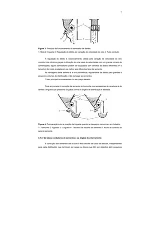 7
Figura 3- Princípio de funcionamento do semeador de dentes.
1- Mola 2- lingueta 3- Regulação do débito por variação de velocidade do veio 4- Tubo condutor
A regulação do débito é, essencialmente, obtida pela variação de velocidade do veio
condutor dos cilindros graças à utilização de uma caixa de velocidades com um grande número de
combinações; alguns semeadores podem ser equipados com cilindros de dedos diferentes (nº e
tamanho) de modo a adaptarem-se melhor aos diferentes tipos de semente.
As vantagens deste sistema é a sua polivalência, regularidade de débito para grandes e
pequenos volumes de distribuição e não esmagar as sementes.
O seu principal inconvenientes é o seu preço elevado.
Para se proceder à remoção da semente da tremonha nos semeadores de caneluras e de
dentes a lingueta que pressiona os grãos contra os órgãos de distribuição é afastada.
Figura 4- Comparação entre a posição da lingueta quando se despeja a tremonha e em trabalho.
1- Tremonha 2- Agitador 3- Lingueta 4- Tabuleiro de recolha da semente 5- Adufa de controlo da
saía da semente.
3.1.3- Os tubos condutores de sementes e os órgãos de enterramento
A condução das sementes até ao solo é feita através de tubos de descida, independentes
para cada distribuidor, que terminam por segas ou discos que têm por objectivo abrir pequenos
 