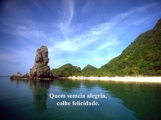 Quem semeia alegria, colhe felicidade. 