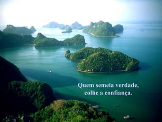 Quem semeia verdade, colhe a confiança. 