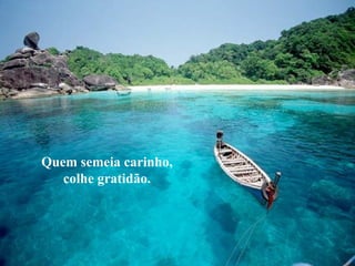 Quem semeia carinho, colhe gratidão. 