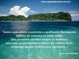 … ... Somos semeadores conscientes, espalhamos diariamente milhões de sementes ao nosso redor. Que possamos escolher sempre as melhores, para que, ao recebermos a dádiva da colheita farta, tenhamos apenas motivos para agradecer... (autor desconhecido) www.gospeljovens.com.br 