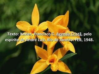 Texto: Xavier, Francisco C.  Agenda Cristã , pelo espírito de André Luiz. Rio de Janeiro: FEB, 1948 . 