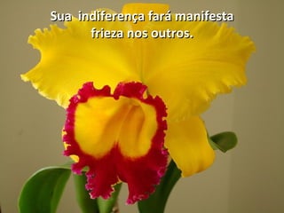 Sua  indiferença fará manifesta frieza nos outros. 