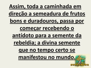 Assim, toda a caminhada em direção a semeadura de frutos bons e duradouros, passa por começar recebendo o antídoto para a semente da rebeldia; a divina semente que no tempo certo se manifestou no mundo.
