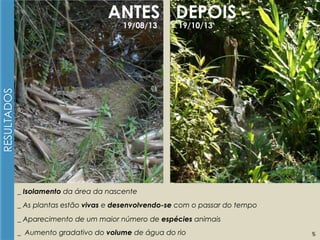 ANTES DEPOIS
19/10/13

RESULTADOS

19/08/13

_ Isolamento da área da nascente
_ As plantas estão vivas e desenvolvendo-se com o passar do tempo
_ Aparecimento de um maior número de espécies animais
_ Aumento gradativo do volume de água do rio

5

 