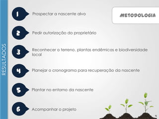 Prospectar a nascente alvo

2
RESULTADOS

1

Pedir autorização do proprietário

3

Reconhecer o terreno, plantas endêmicas e biodiversidade
local

4

Planejar o cronograma para recuperação da nascente

5

Plantar no entorno da nascente

6

Acompanhar o projeto

Metodologia

4

 