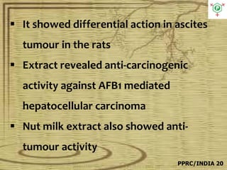 Ascites Rats Semecarpus | PDF