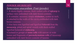 POWDER MICROSCOPY
Semecarpus anacardium Fruit (powder)
1. It shows highly sinuous, thick walled cells of epicarp in
surface view embedded with dark brown contents.
2. It contains secretory simple trichomes, scatter as such,
or attached to the walls of the cavity,embbeded with dark
brown resinous.
3.Also have non lignified and lignified Sclereid from the
mesocarp, pitted and spiral vessels with thick-walled
lignified Sclereid of endocarp.
4.Isolated or groups of stone cells with narrow or wide
lumen and fragments of parenchymatous cells of mesocarp
embedded with dark brown contents of tannins.
14
 