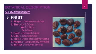  FRUIT
1. Shape :- Obliquely ovoid nut
2. Size :- L= 2.5-3cm
W= 2-2.5cm
T= 4-5mm
3. Color :- Brownish black
4. Odor :- Characteristic
5. Taste :- Acrid and highly irritating
6. Ridges :- Longitudinally wrinkled
7. Surface :- Smooth, shining
BOTANICAL DESCRIPTION
(A) MACROSCOPY
4
 