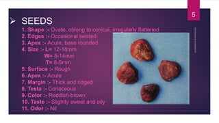  SEEDS
1. Shape :- Ovate, oblong to conical, irregularly flattened
2. Edges :- Occasional twisted
3. Apex :- Acute, base rounded
4. Size :- L= 12-18mm
W= 8-14mm
T= 8-5mm
5. Surface :- Rough
6. Apex :- Acute
7. Margin :- Thick and ridged
8. Testa :- Coriaceous
9. Color :- Reddish-brown
10. Taste :- Slightly sweet and oily
11. Odor :- Nil
5
 