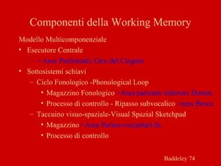Componenti della Working Memory
Modello Multicomponenziale
• Esecutore Centrale
– > Aree Prefrontali, Giro del Cingolo
• Sottosistemi schiavi
– Ciclo Fonologico -Phonological Loop
• Magazzino Fonologico >Area parietale inferiore Domin.
• Processo di controllo - Ripasso subvocalico >area Broca
– Taccuino visuo-spaziale-Visual Spazial Sketchpad
• Magazzino> Aree Parieto-occipitali dx
• Processo di controllo
Baddeley 74
 