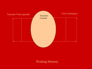 Esecutore
Centrale
Ciclo FonologicoTaccuino Visuo-spaziale
Working Memory
 