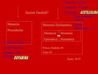 Squire 86-87
Memoria
Procedurale
Memoria Dichiarativa
Wilson, Baddeley 88
Vallar 90
Memoria
Episodica
Memoria
Semantica
Sistemi Paralleli?
Lobo Temporale
Mediale
Sistema
Ippocampale
Corteccia Frontale,
Temporale , Parietale,
Occipitale
Corteccia Frontale
Gangli della Base
Sistema Cortico -
Striatale
 
