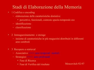 Stadi di Elaborazione della Memoria
• 1 Codifica o encoding
– elaborazione delle caratteristiche distintive
• percettive, funzionali, contesto spazio-temporale ecc
– identificazione
– classificazione
• 2 Immagazzinamento o storage
– insieme di caratteristiche in più magazzini distribuiti in differenti
aree cerebrali
• 3 Recupero o retrieval
– Associativo >>>> aree temporali mediali
– Strategico >>>> aree prefrontali
• Fase di Ricerca
• Fase di Verifica del risultato Moscovitch 92-97
 