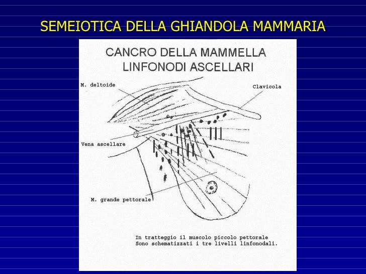 Medgard Samara phlebologists