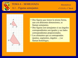 TEMA 6 – SEMEJANZA Matemáticas 4º E.S.O y 1º Bach. 6.1 – Figuras semejantes ,[object Object],[object Object],[object Object]