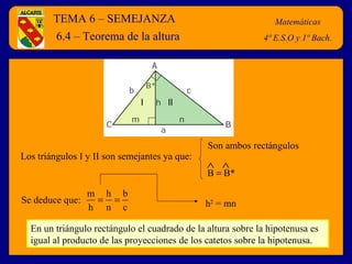 TEMA 6 – SEMEJANZA Matemáticas 4º E.S.O y 1º Bach. 6.4 – Teorema de la altura Los triángulos I y II son semejantes ya que: Se deduce que:  En un triángulo rectángulo el cuadrado de la altura sobre la hipotenusa es igual al producto de las proyecciones de los catetos sobre la hipotenusa. h 2  = mn Son ambos rectángulos    B  B*     