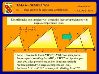 TEMA 6 – SEMEJANZA Matemáticas 4º E.S.O y 1º Bach. 6.3 – Tercer criterio de semejanza de triángulos Dos triángulos son semejantes si tienen dos lados proporcionales y el ángulo comprendido igual.  Por el Teorema de Tales A'B''C'' y A'B'C' son semejantes. Por otra parte los triángulos ABC y A'B''C'' son iguales, por tener dos lados proporcionales con la misma razón de proporcionalidad y el ángulo comprendido igual. Por tanto ABC = A'B''C'' es semejante al triángulo A'B'C'. A B C a b c A' B' C' b' c' a' y  A A'    b'  c' b  c A' B' C' B'' C'' c 