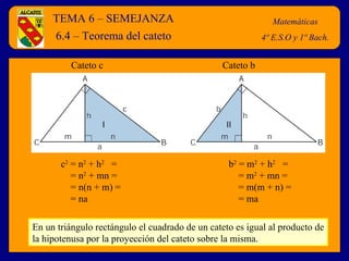 TEMA 6 – SEMEJANZA Matemáticas 4º E.S.O y 1º Bach. 6.4 – Teorema del cateto Cateto c Cateto b c 2  = n 2  + h 2   = = n 2  + mn = = n(n + m) = = na b 2  = m 2  + h 2   = = m 2  + mn = = m(m + n) = = ma En un triángulo rectángulo el cuadrado de un cateto es igual al producto de la hipotenusa por la proyección del cateto sobre la misma. 