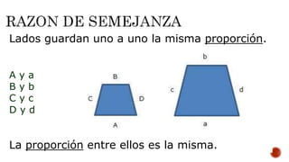 Lados guardan uno a uno la misma proporción.
A y a
B y b
C y c
D y d
La proporción entre ellos es la misma.
 