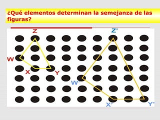 ¿Qué elementos determinan la semejanza de las
figuras?
 