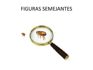 FIGURAS SEMEJANTES
 