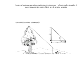 Es necesario ubicarse a una distancia tal que mirando con un solo ojo queden alineados el
extremo superior del árbol y el de la vara de longitud conocida.
 