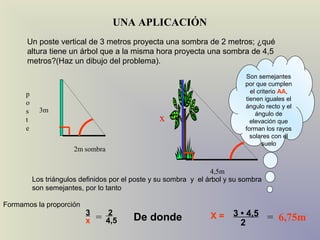 UNA APLICACIÓN
      Un poste vertical de 3 metros proyecta una sombra de 2 metros; ¿qué
      altura tiene un árbol que a la misma hora proyecta una sombra de 4,5
      metros?(Haz un dibujo del problema).
                                                                            Son semejantes
                                                                            por que cumplen
      p                                                                       el criterio AA,
                                                                            tienen iguales el
      o                                                                     ángulo recto y el
      s     3m                                                                  ángulo de
      t                                          x                            elevación que
      e                                                                     forman los rayos
                                                                              solares con el
                                                                                   suelo
                       2m sombra


                                                                  4,5m
          Los triángulos definidos por el poste y su sombra y el árbol y su sombra
          son semejantes, por lo tanto

Formamos la proporción
                          3         2                            X=      3 • 4,5 = 6,75m
                          x   =    4,5   De donde                          2
 