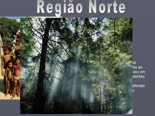 Os primeiros habitantes da Região Norte, como no resto do Brasil, foram os indígenas, que compartilhavam uma diversificada quantidade de tribos e aldeias, do período  pré-colombiano  até a chegada dos europeus.   Região Norte Os espanhóis, entre eles, Francisco de Orellana, organizaram expedições exploradoras pelo rio Amazonas para conhecer a região. Após longas viagens ao lado de  Francisco Orellana , Gonzalo Hernández de Oviedo y Valdés, escreveu em Veneza, uma carta ao cardeal Pedro Bembo, exaltando a fauna e a flora existentes na região até certa época. Em 1616 chegaram os portugueses. Eles construíram fortes militares para defender a região contra a invasão de outros povos. Os portugueses também se interessaram pelas riquezas da Floresta Amazônica. 