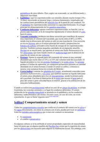 peristálticos de estos túbulos. Pero, según van avanzando, se van diferenciando y
       adquieren movilidad.
       Epidídimo: aquí los espermatozoides son retenidos durante mucho tiempo (10 a
       14 días), recorriendo su trayecto largo y tortuoso lentamente e impulsados por
       las contracciones peristálticas del músculo liso de la pared de este conducto. En
       el epidídimo los espermatozoides aumentan su capacidad fertilizante. Es el lugar
       principal de almacenamiento de los gametos masculinos.
       Conductos deferentes: apenas contienen espermatozoides; su función, con su
       gruesa capa muscular, es la de transportar rápidamente el semen durante el coito,
       hacia la uretra.
       Vesículas seminales: producen una densa secreción que contribuye de manera
       muy importante al volumen del eyaculado, que oscila entre el 46% y el 80%,
       siendo ésta la última parte del semen en salir en una eyaculación. Esta secreción
       es rica en fructosa, que es el azúcar principal del semen y proporciona los
       hidratos de carbono utilizados como fuente de energía de los espermatozoides
       móviles. También contiene pequeñas cantidades de un pigmento amarillo,
       flavinas en su mayor parte, que aportan al semen una fuerte fluorescencia a la
       luz ultravioleta, que tiene mucho interés en medicina legal para la detección de
       manchas de semen en una violación.
       Próstata: Aporta la segunda parte del contenido del semen en una cantidad
       abundante que oscila entre el 13% y el 33% del volumen total del eyaculado. El
       líquido prostático es rico en enzimas (fosfatasas) y en ácido cítrico. La próstata
       produce el fosfato de espermina, un compuesto poliamínico presente en cantidad
       abundante en el semen humano. Cuando el semen se enfría y comienza a
       secarse, esta sustancia forma los cristales de Böttcher.
       Uretra bulbar: contiene las glándulas de Cowper, actualmente conocidas como
       glándulas bulbouretrales, y de Littré, que también secretan un líquido lubricante
       al semen, poco abundante pero rico en mucoproteínas, siendo la primera parte
       del eyaculado. Facilitan la lubricación de la uretra que recorre el pene para el
       paso del semen a gran velocidad hacia el exterior, gracias a la contracción de los
       músculos bulbouretrales.

Cuando se realiza una prostatectomía radical en caso de un cáncer de próstata, se extirpa
la próstata, las vesículas seminales y se ligan los conductos deferentes. El semen
producido en las gónadas masculinas se acumula en el epidídimo y en los conductos
deferentes, reabsorbiéndose allí mismo. En estos casos, en caso de coito, no existe
eyaculación, lo que se llama 'orgasmo seco'.[cita requerida]

[editar] Comportamiento sexual y semen
Todos los comportamientos sexuales que conllevan el contacto del semen con la vulva o
la vagina directamente, sin entrar en contacto con el aire, pueden provocar un embarazo.
Entre los métodos anticonceptivos que evitan este contacto se encuentran:

       la vasectomía
       el condón o preservativo

En algunas culturas se le ha atribuido al semen propiedades especiales de masculinidad,
hasta tal punto que en algunos pueblos del Pacífico Sur creían que la ingestión de semen
por los adolescentes era necesario para adquirir la maduración sexual. Sin embargo, esta
 