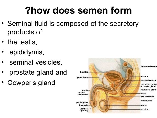 Semen as a drug