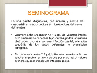 SEMINOGRAMA
Es una prueba diagnóstica, que analiza y evalúa las
características macroscópicas y microscópicas del semen
del hombre.
• Volumen: debe ser mayor de 1,5 ml. Un volumen inferior,
cuyo síndrome se denomina hipospermia, podría indicar una
obstrucción causada por una infección genital, alteración
congénita de los vasos deferentes, o eyaculación
retrógrada.
• Ph: debe estar entre 7.2 y 8.1. Un valor superior a 8.1 no
supone un problema, mientras que por el contrario, valores
inferiores pueden indicar una infección genital.
 