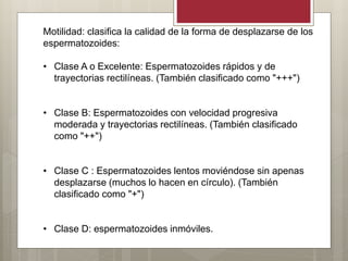 Motilidad: clasifica la calidad de la forma de desplazarse de los
espermatozoides:
• Clase A o Excelente: Espermatozoides rápidos y de
trayectorias rectilíneas. (También clasificado como "+++")
• Clase B: Espermatozoides con velocidad progresiva
moderada y trayectorias rectilíneas. (También clasificado
como "++")
• Clase C : Espermatozoides lentos moviéndose sin apenas
desplazarse (muchos lo hacen en círculo). (También
clasificado como "+")
• Clase D: espermatozoides inmóviles.
 