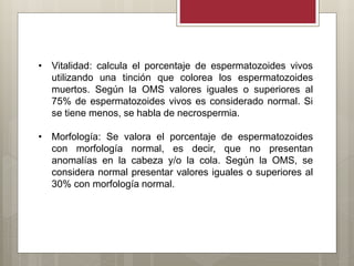 • Vitalidad: calcula el porcentaje de espermatozoides vivos
utilizando una tinción que colorea los espermatozoides
muertos. Según la OMS valores iguales o superiores al
75% de espermatozoides vivos es considerado normal. Si
se tiene menos, se habla de necrospermia.
• Morfología: Se valora el porcentaje de espermatozoides
con morfología normal, es decir, que no presentan
anomalías en la cabeza y/o la cola. Según la OMS, se
considera normal presentar valores iguales o superiores al
30% con morfología normal.
 