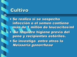 Cultivo
• Se realiza si se sospecha
  infección o el semen contiene
  más de 1 millón de leucocitos/ml
• Se requiere higiene previa del
  pene y recipientes estériles.
• Se investiga entre otros la
  Neisseria gonorrheae
 